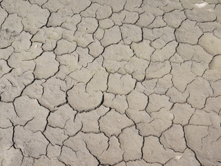 Cracked soil by drought