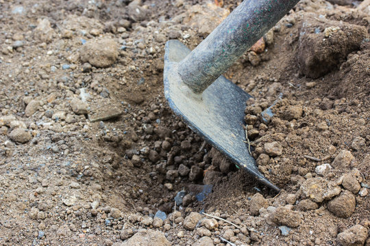 Hoe or digging tool, soil prepared vegetable bed for sowing.