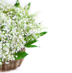 Lily of the valley on white wooden background