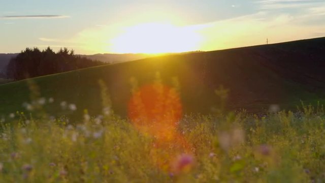 H&uuml;gelige Wiesenlandschaft im Abendlicht