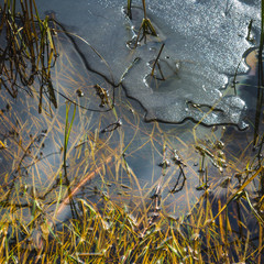 Melting ice on a pond in spring