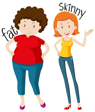 Opposite adjectives with fat and skinny
