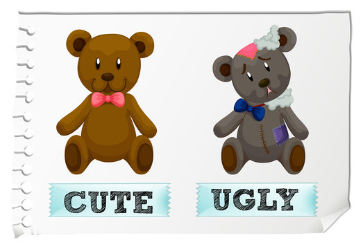 Opposite adjectives with cute and ugly