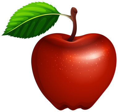 Red apple with leaf and stem