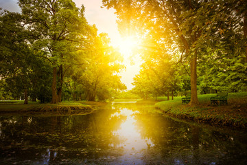 Obraz premium Nature landscape and sunset