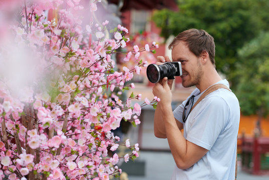 Tourist and plum blossom