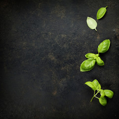basil leaves