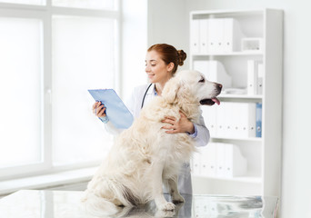 happy doctor with retriever dog at vet clinic
