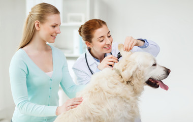 happy woman with dog and doctor at vet clinic