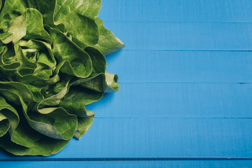 Lettuce on blue boards