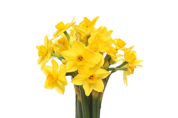 Bunch of daffodils
