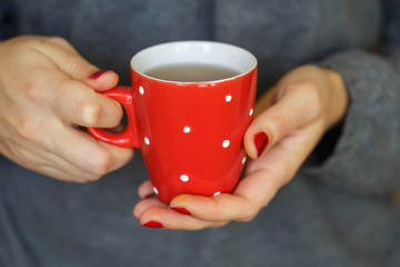 Woman hands holding a cozy red mug
