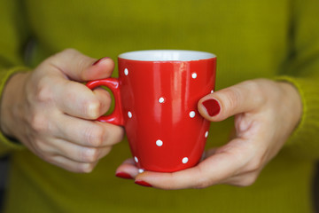 Woman hands holding a cozy red mug
