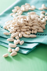 raw haricot legumes cannellini beans