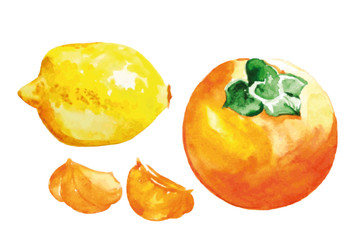 Fototapeta na wymiar Watercolor fruit set.
