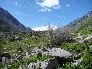 Fototapeta na wymiar a mountain valley in Kyrgyzstan