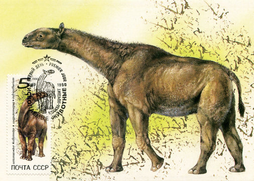 Ископаемое животное - Индрикотерий. Картмаксимум Министерства связи СССР