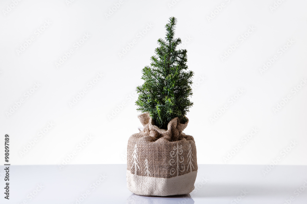 Canvas Prints mini christmas tree