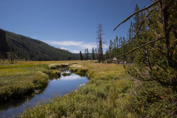 Obraz premium The beauty of Yellowstone valley