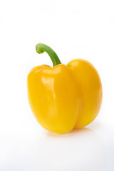 yellow sweet pepper isolate white background vertical