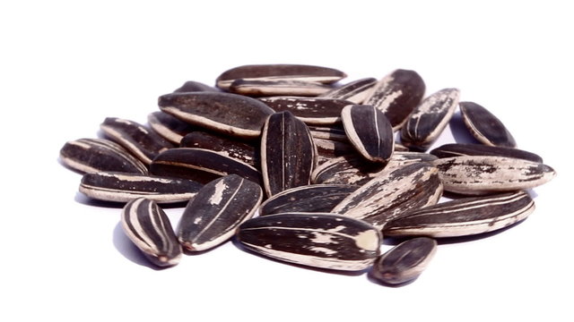 sunflower seeds on isolated background, Rotation