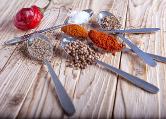 Spices in spoon with chili