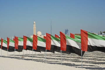 General view of the flags and the mosque in the background