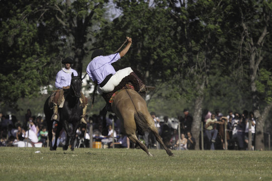 Doma De Caballos