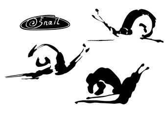 snail vector - obrazy, fototapety, plakaty
