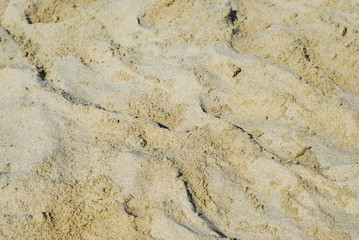 beach sand