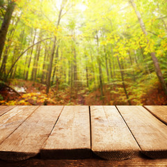 Fototapeta na wymiar Beautiful nature background with wooden floor
