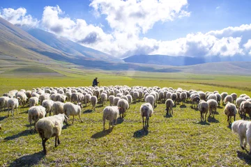 Crédence de cuisine en verre imprimé Moutons pastore con gregge di pecore sui monti Sibillini, Italia