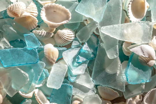 Turquoise sea glass and cockle shells; glass worn smooth by ocean waves