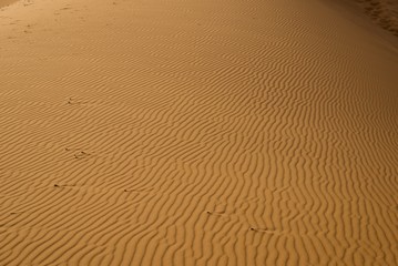 exploring the sahara desert in morocco