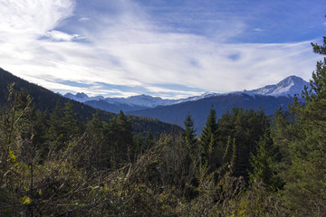 Austrian Mountain Range and Evergreen Forest