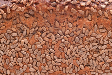 seed bread texture
