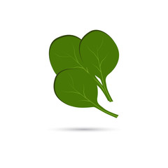 Spinach leaves icon