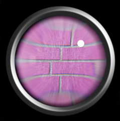 magnifier