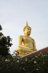Obraz premium Buddhastatue und Tempel in Thailand