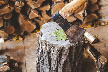 Hatchet sticking in stump in woodsheds