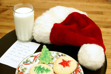 Obraz na płótnie Canvas Cookies for Santa