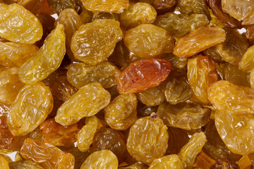 background of sultana raisins, close up