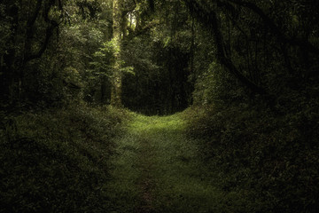 Obraz premium Lugar Mágico