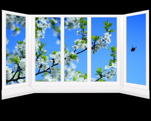 window overlooking the garden with blossoming tree
