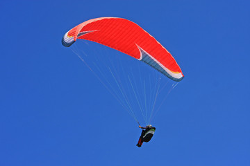 Paraglider