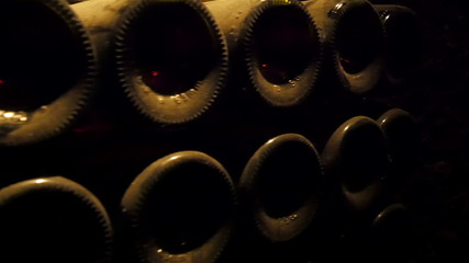 The bottles found on the shelf of the wine cellar. This is where wines are being stored for fermentation before production