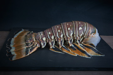 Lobstaer tail