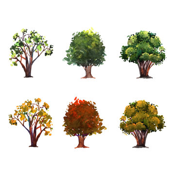 Watercolor trees hand drawn. Illustration for concepts, cards, banner and your design.