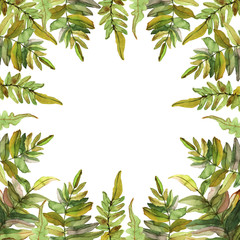 Floral collection with isolated leafs on white background, drawing watercolor.Design for invitation, wedding or greeting cards and print