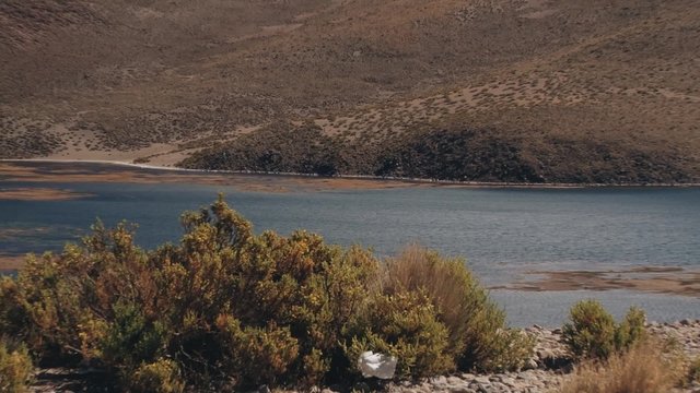 View to the Chungara lake and Parinacota volcano in Lauca National Park, Chile.